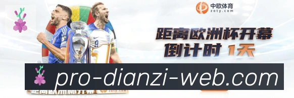 奖项证书